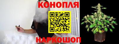 PSILOCYBIN Нальчик