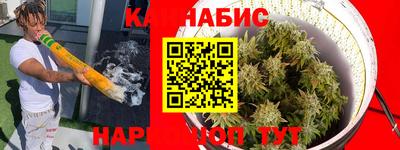 PSILOCYBIN Нальчик