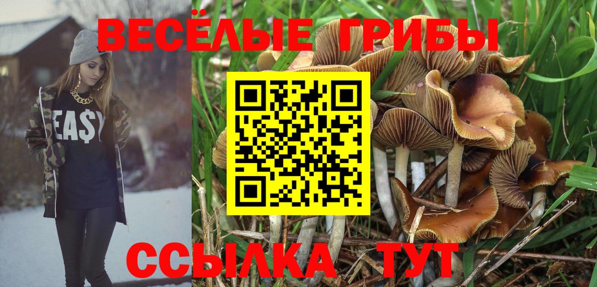 Галлюциногенные грибы Cubensis  Галлюциногенные грибы Psilocybe  Вход с VPN  Учалы 