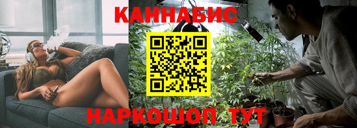 Каннабис план Учалы